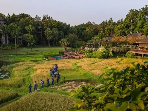 Unterkünfte in Chiang Mai suchen