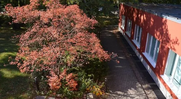 Gästehaus Pauline