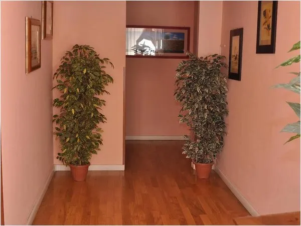 Gialel B&B