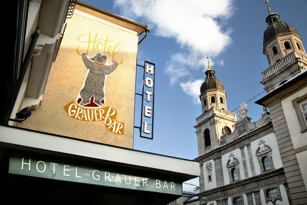 Grauer Bär