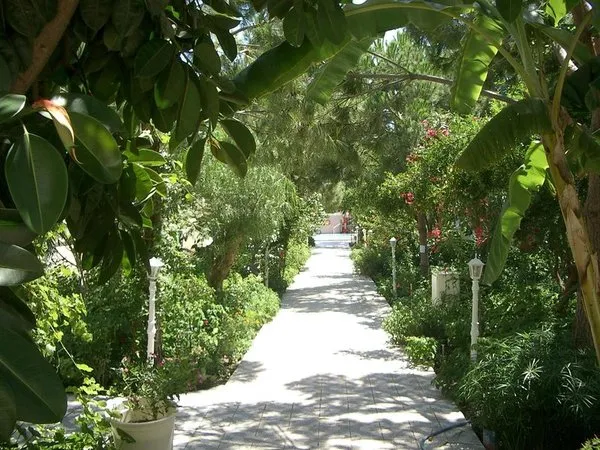 Gümbet Anil Beach