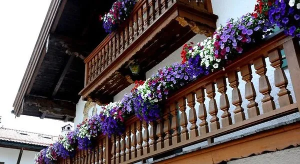 Guesthouse Gritscher