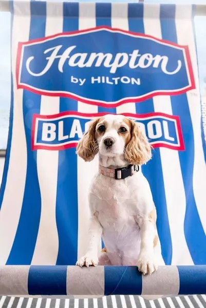 Hampton by Hilton Blackpool