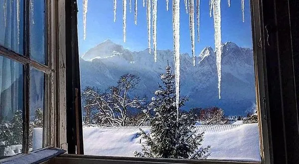Hohe Tannen