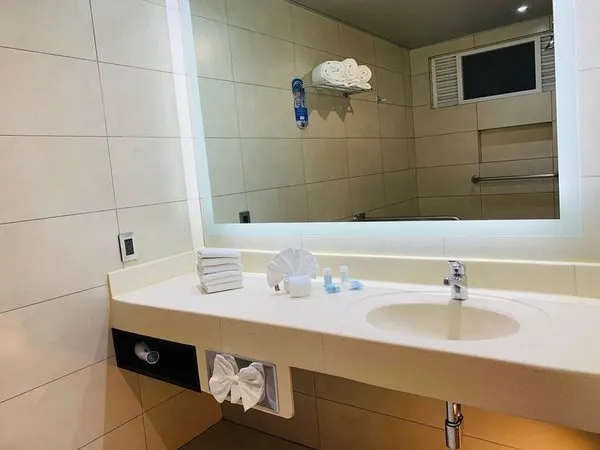 Holiday Inn Express Mexico Basilica