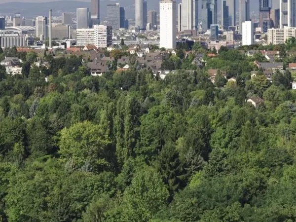Homaris Apartments Frankfurt