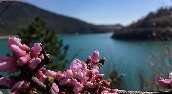 Horti Del Baio
