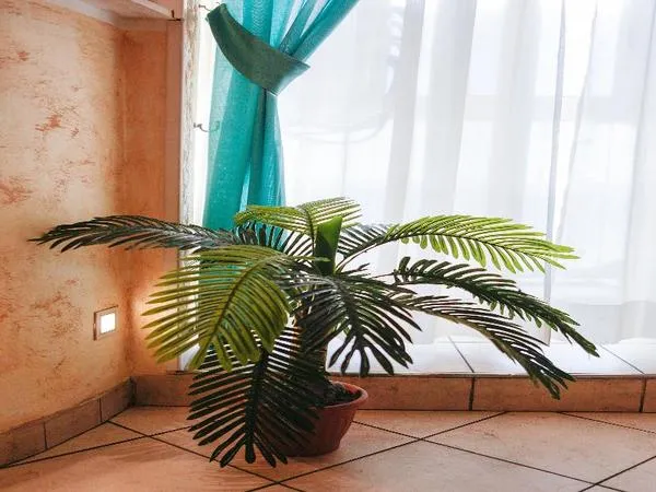 Hotel Arco Romana