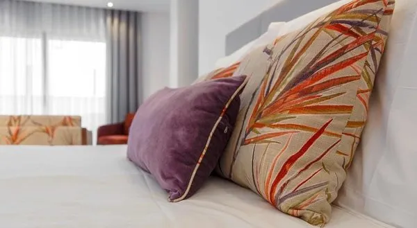 Hotel Concha