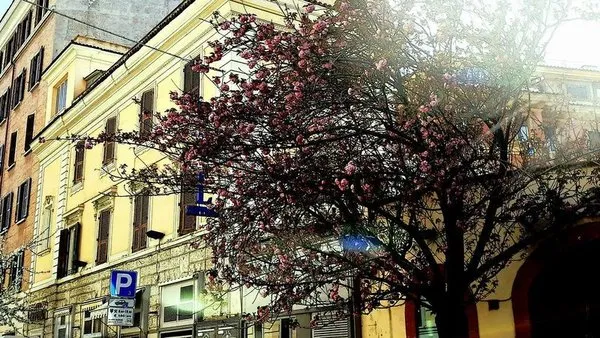 Hotel Coppedè