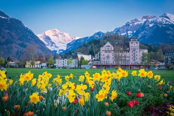 Crystal Interlaken