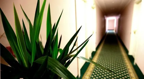Hotel Europa