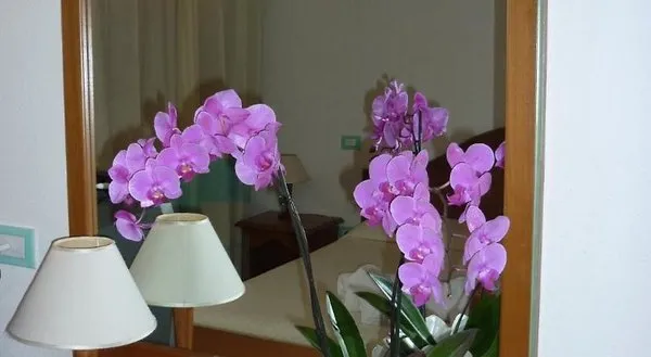 Hotel Le Anfore