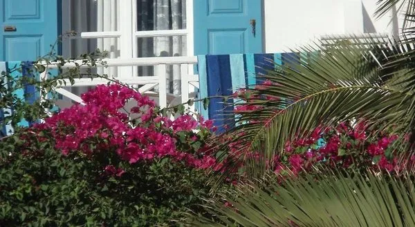 Hotel Matina