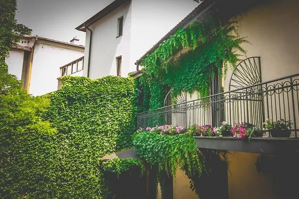 Hotel Nobilton
