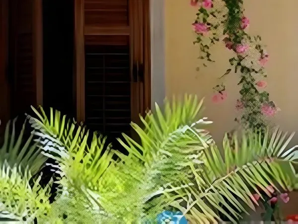 Hotel Oasi Da Paolo
