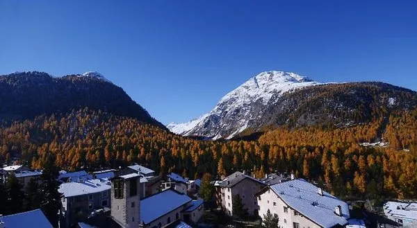 Hotel Schweizerhof Pontresina