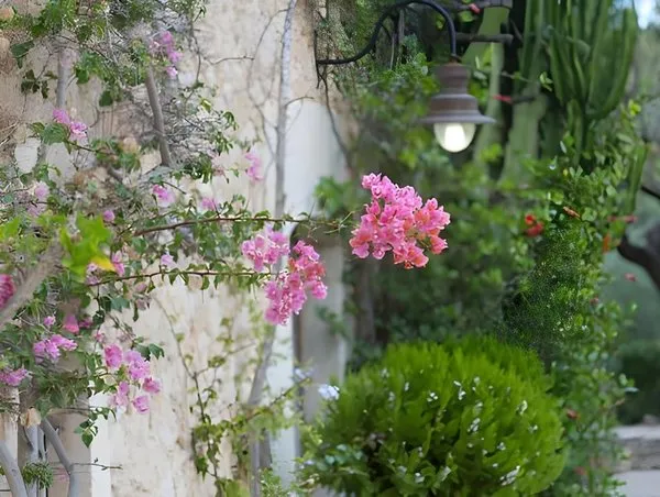 Hotel Son Ametler