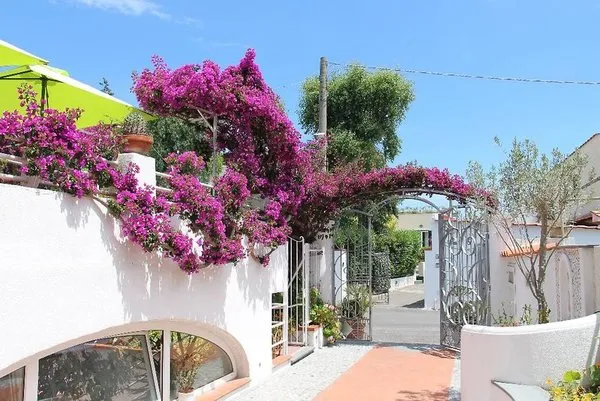 Hotel Villa Cecilia