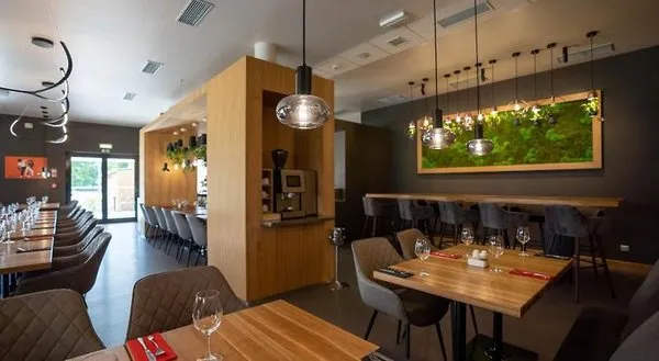 Ibis Plzen