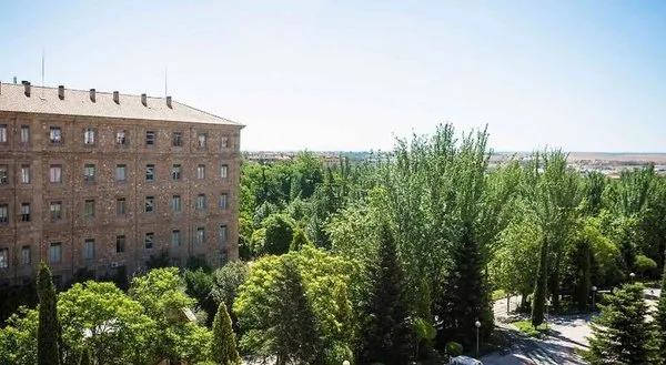 Ibis Salamanca