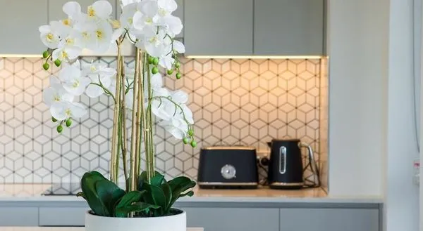 Inspire Boutique Apartments
