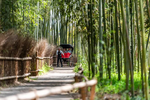 Japan - Goldene Route