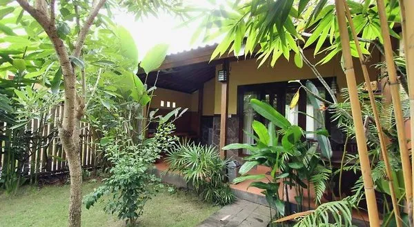 Jiwa's House