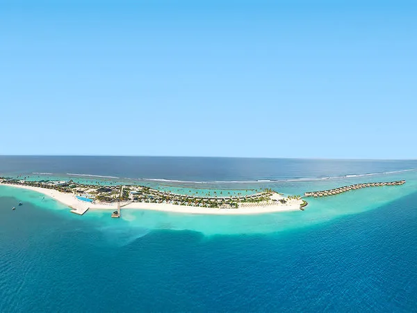 Joy Island