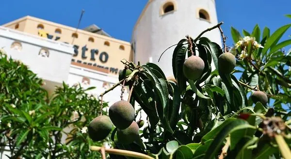 Kastro Studios & Apartments