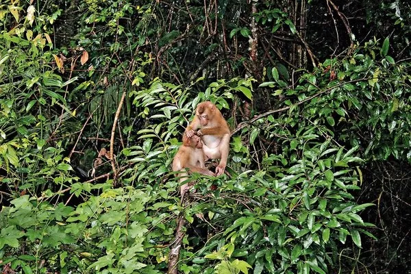 Khao Yai Nationalpark