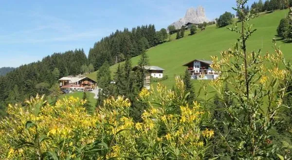 Landgasthof & Appartements Reithof