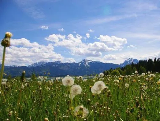 Landhotel Schwarzenbach