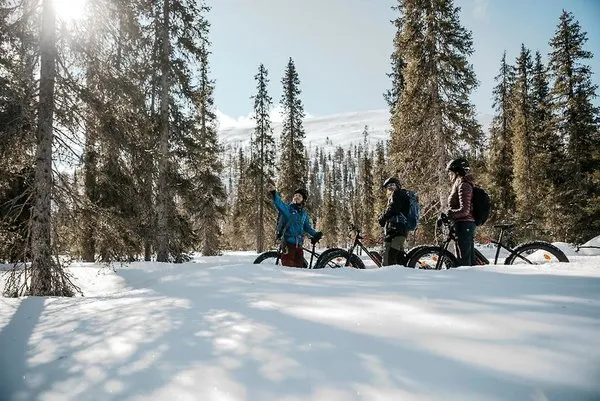 Lapland Hotel Ylläskaltio