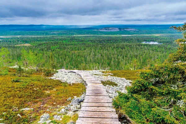 Lappland entspannt erleben ab Rovaniemi