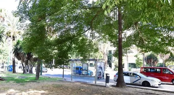 Letmalaga Andalucia