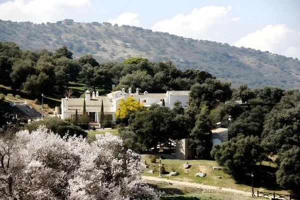 Los Pilares De Ronda