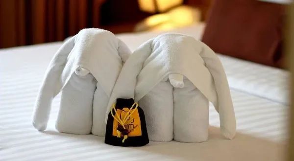 M Chiangmai