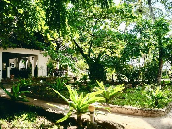 Mambo Ocean Resort