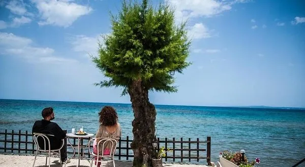 Mimoza