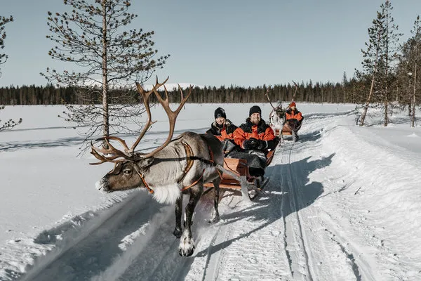 Mit der Bahn zum Polarkreis,Mit der Bahn zum Polarkreis ab/bis Helsinki,Im Santa Claus Express zum Polarkreis ab/bis Helsinki - Apukka Lodge