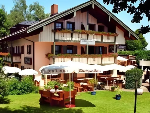 Möwe am See