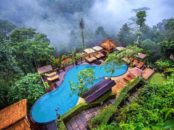 Nandini Jungle by Hanging Gardens