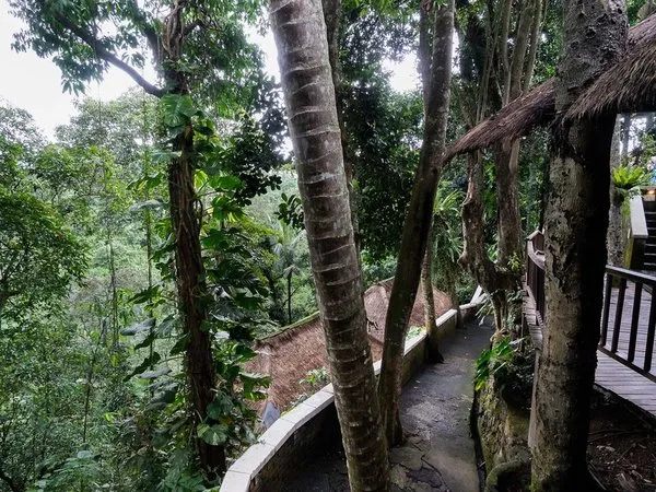 Natura Resort & Spa
