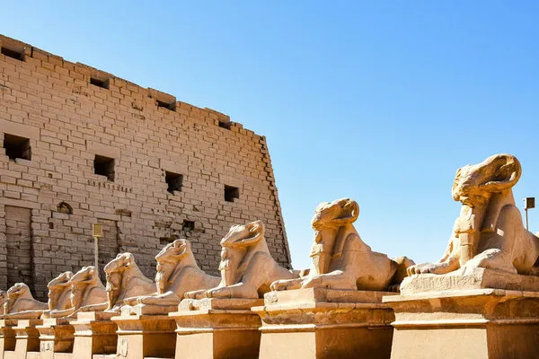 Nilkombination M/S Nile Crown I & Desert Rose Resort