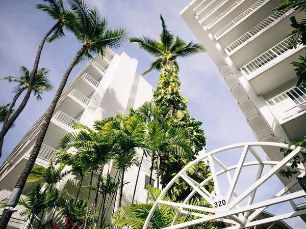 Oasis Hotel Waikiki