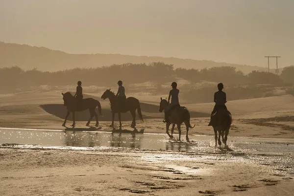 Oceana Beach & Wildlife Reserve