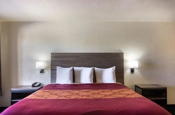 OYO Inn & Suites - Medical Center