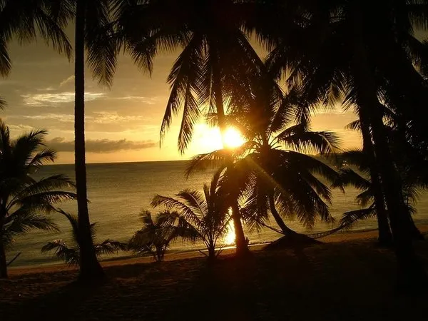 Palm Point Village