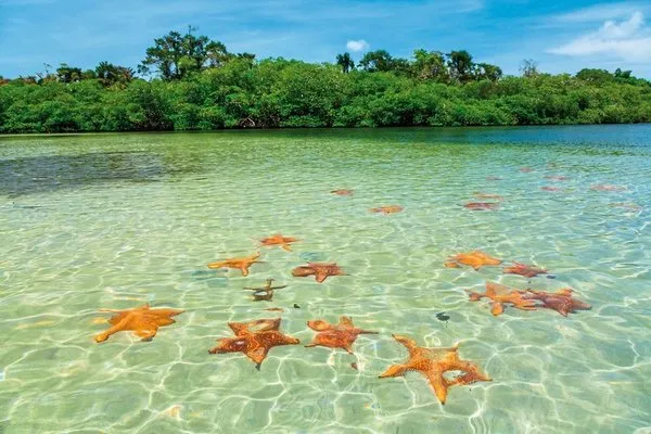 Panama auf eigene Faust (Reiseende in Bocas del Toro),Panama auf eigene Faust inkl. Anschluss Bocas del Toro